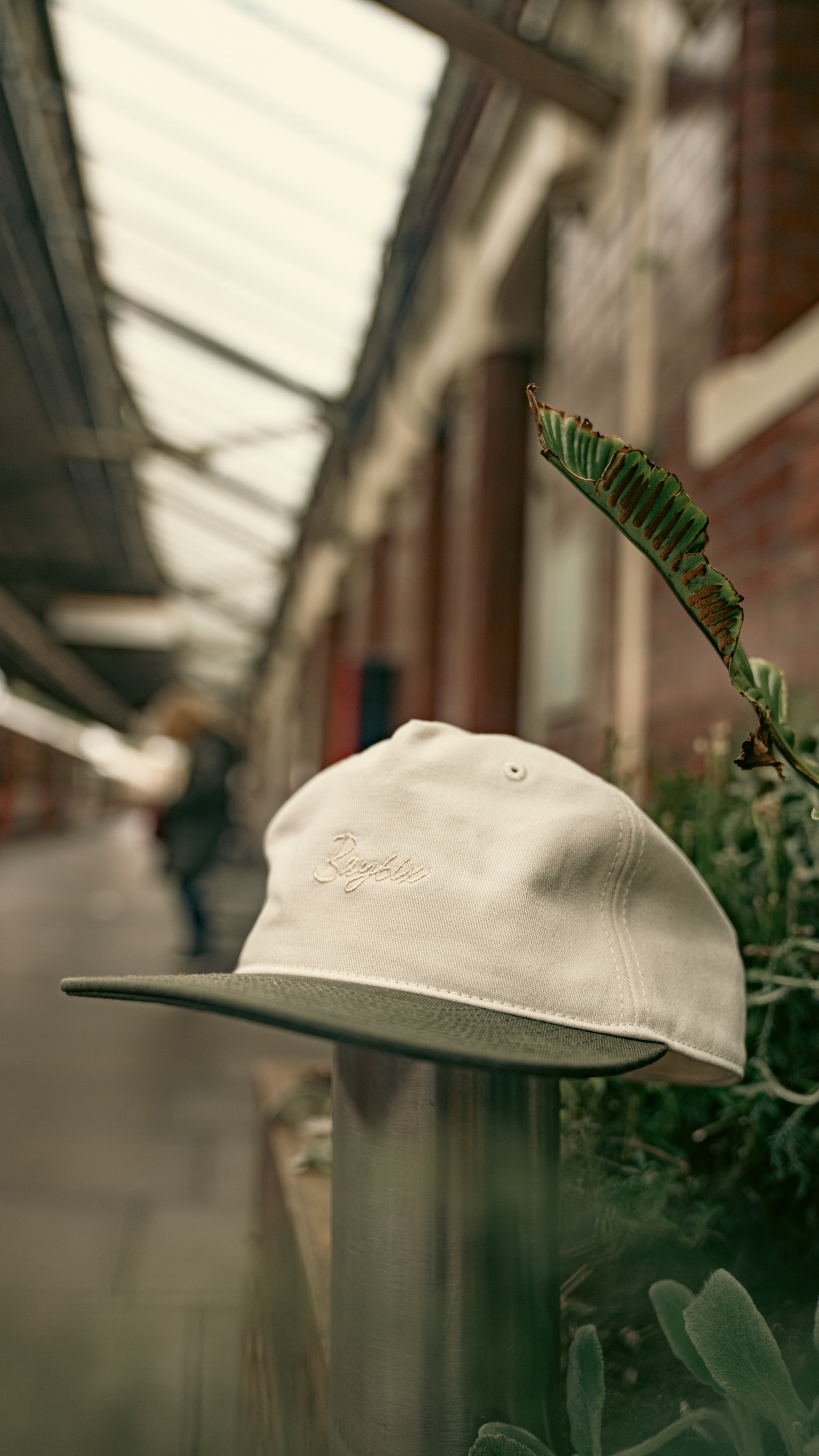 Bay | 6ix Two Tone Green/Champagne