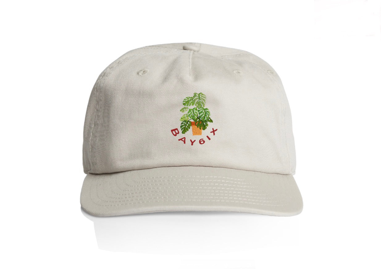 Bay | 6ix I love Trees.