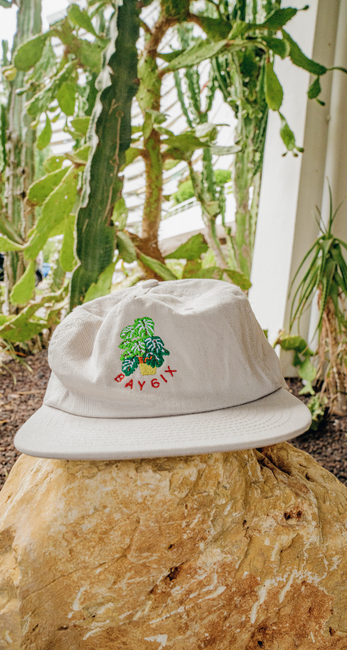 Bay | 6ix I love Trees.